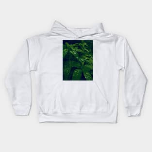 Dew drops on forest leaves gradient photo Kids Hoodie